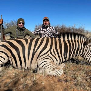 Zebra South African Hunt - Hunt #4772 - Quality Hunts