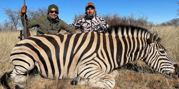 Zebra South African Hunt - Hunt #4772 - Quality Hunts