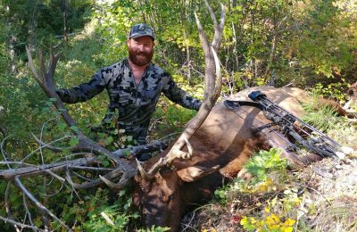 Rocky Mountain Elk Hunt - Archery - Hunt 4973 - Quality Hunts