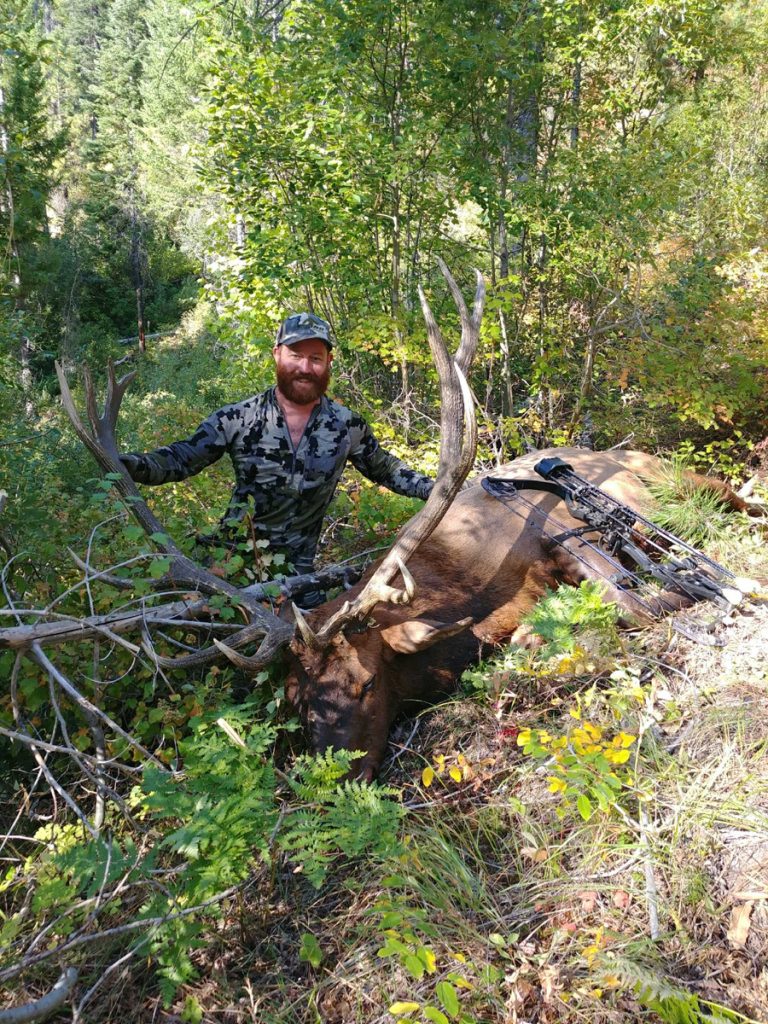 Rocky Mountain Elk Hunt - Archery - Hunt 4973 - Quality Hunts