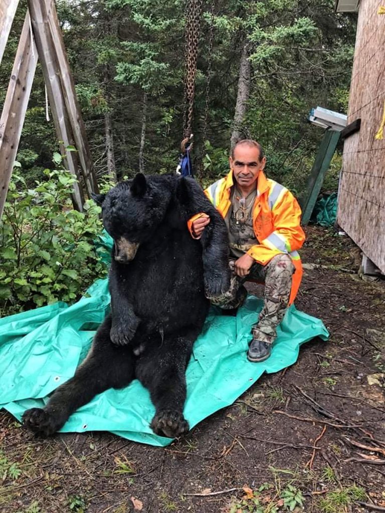 Canadian Black Bear Hunt - Hunt 4922 - Quality Hunts