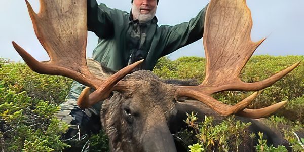 Canadian Moose Hunt - Hunt 4926 - Quality Hunts