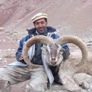 Himalayan Blue Sheep Hunt - Quality Hunts #4869