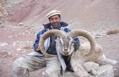 Himalayan Blue Sheep Hunt - Quality Hunts #4869