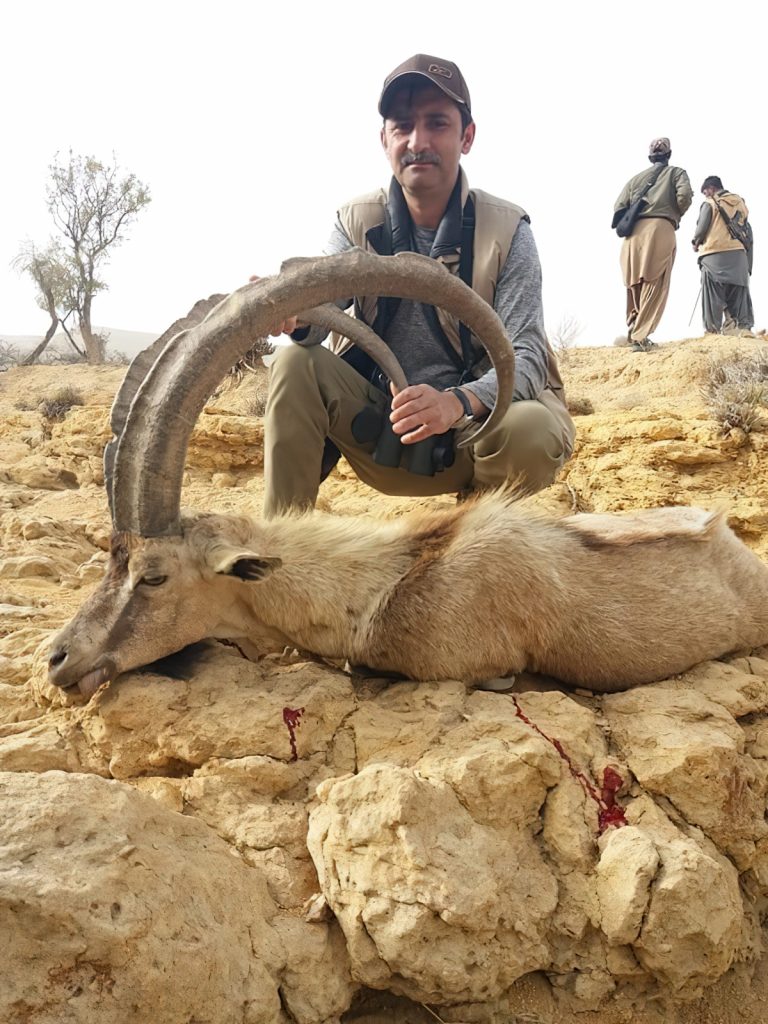 Sindh Ibex Goat Hunt - Hunt 4880 - Quality Hunts