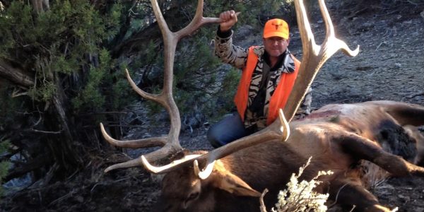 Colorado Archery Elk Hunt - Hunt #5070 - Quality Hunts