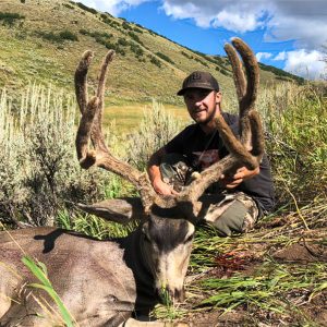 Colorado Archery Mule Deer Hunt - Hunt #5067 - Quality Hunts