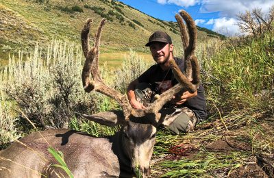 Colorado Archery Mule Deer Hunt - Hunt #5067 - Quality Hunts