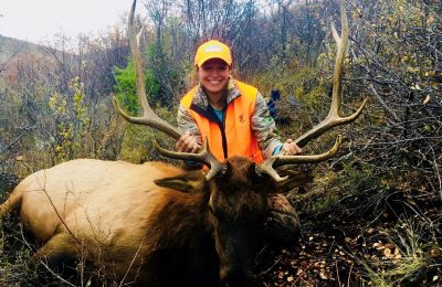 Colorado Muzzleloader Elk Hunt - Hunt #5071 - Quality Hunts