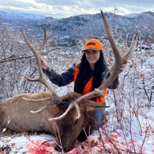 Colorado Rifle 1st Season Elk Hunt - Hunt #5072 - Quality Hunts