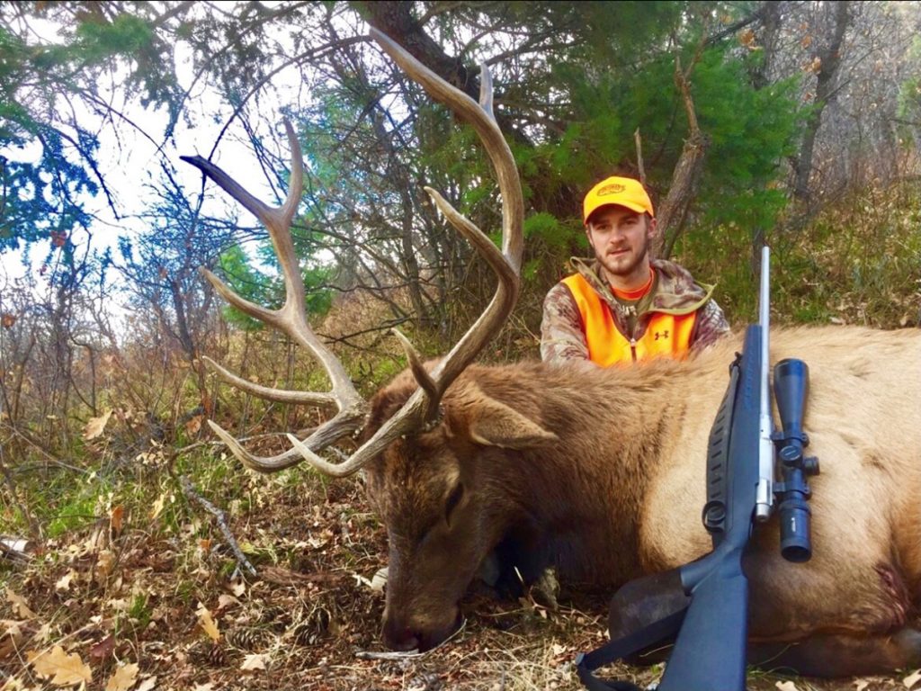 Colorado Rifle 1st Season Elk Hunt - Hunt #5072 - Quality Hunts