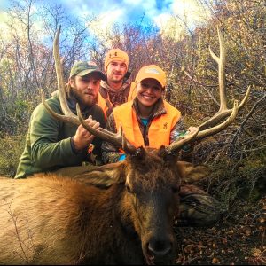 Colorado Rifle Elk Hunt - Hunt #5073 - Quality Hunts