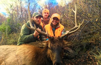 Colorado Rifle Elk Hunt - Hunt #5073 - Quality Hunts