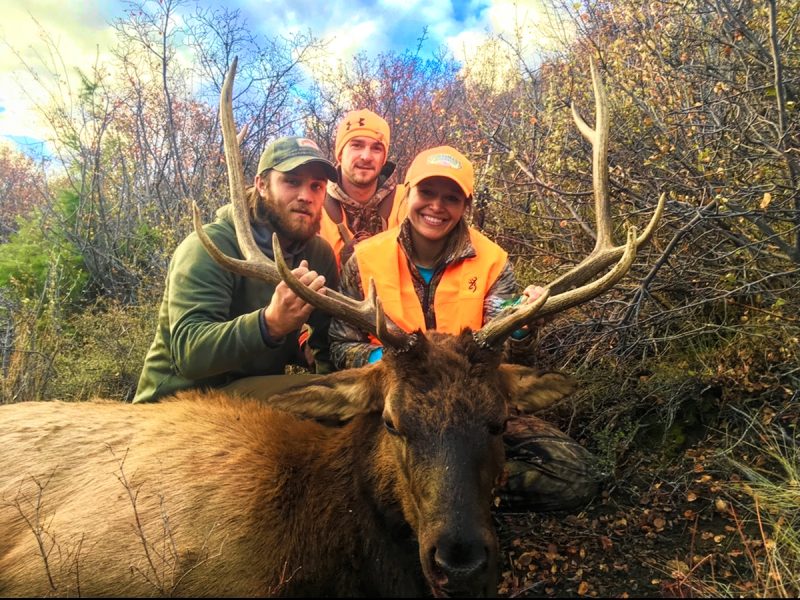 Colorado Rifle Elk Hunt 2nd, 3rd, or 4th Season Quality Hunts