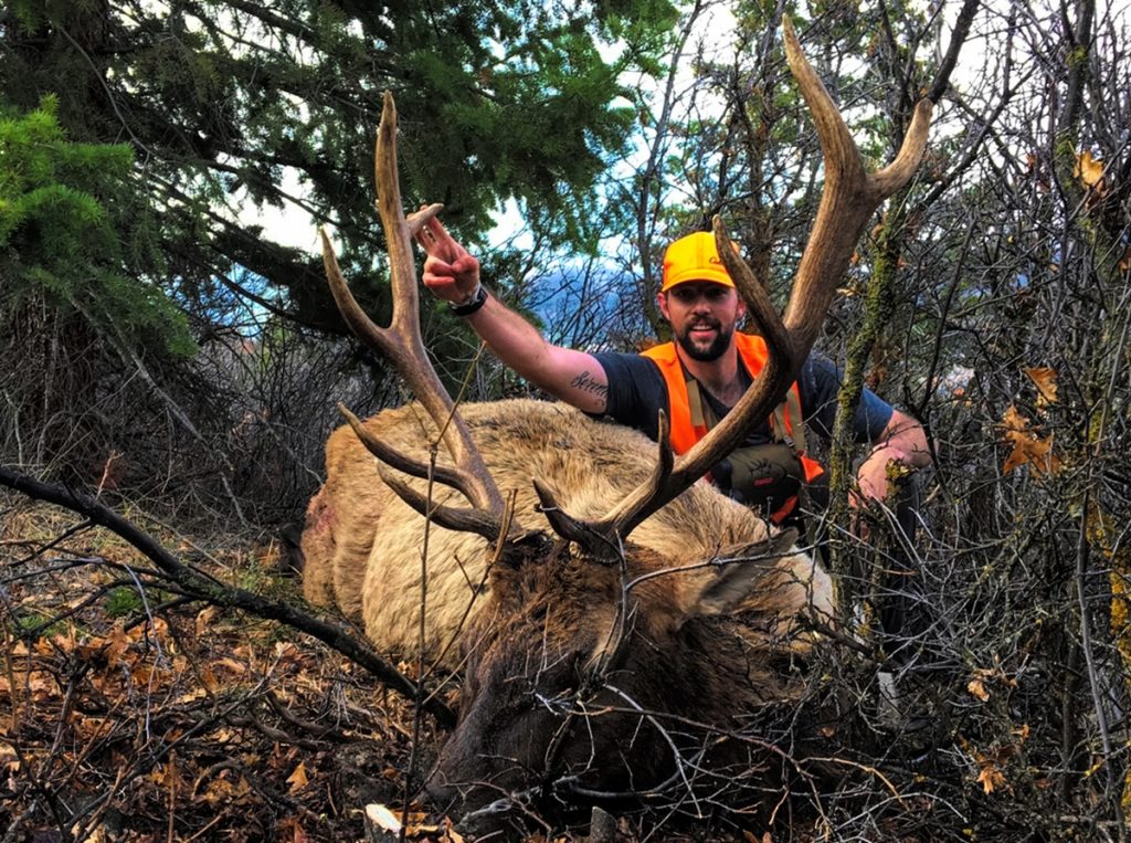 Colorado Rifle Elk Hunt - Hunt #5073 - Quality Hunts