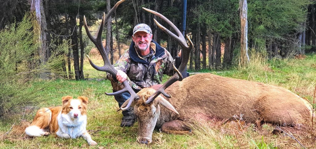 New Zealand Red Stag Hunt - Hunt #4995
