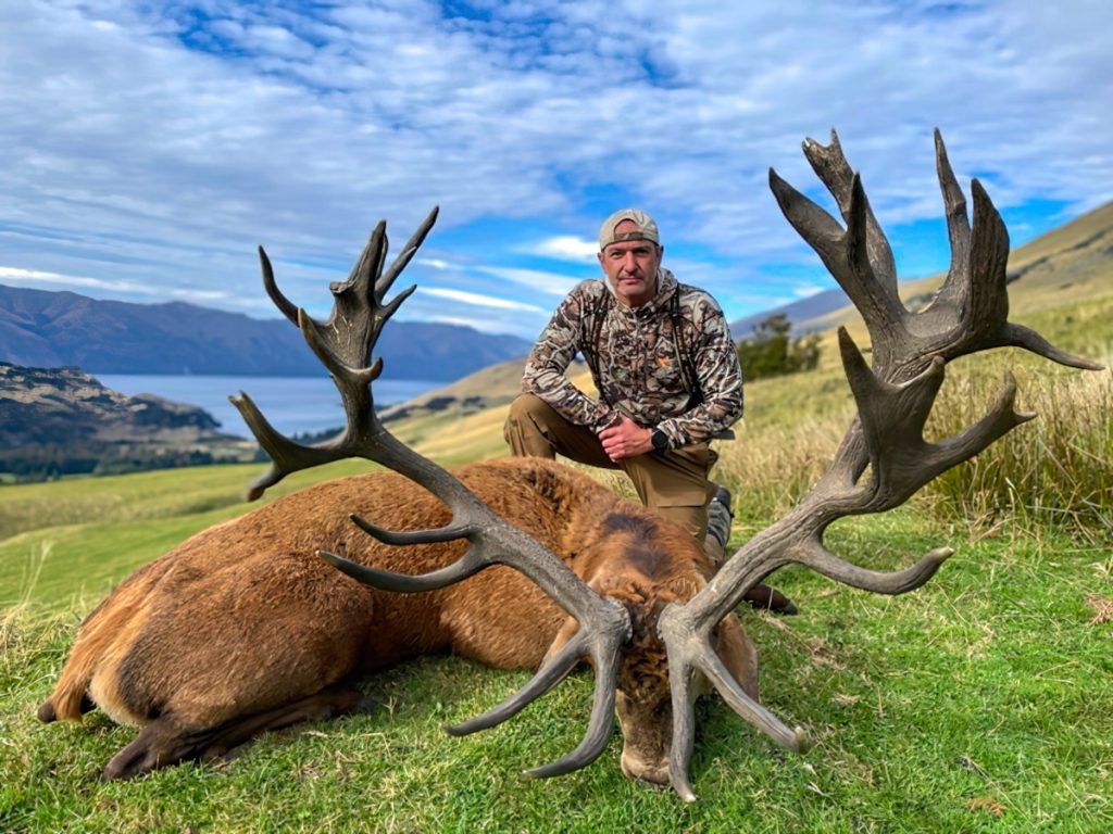 New Zealand Red Stag Hunt - Hunt #4995
