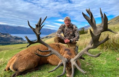 New Zealand Red Stag Hunt - Hunt #4995