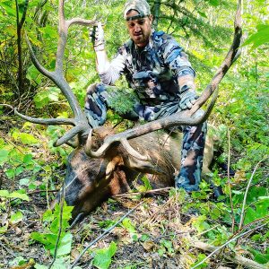 Idaho Archery Elk Hunt - Hunt #5195