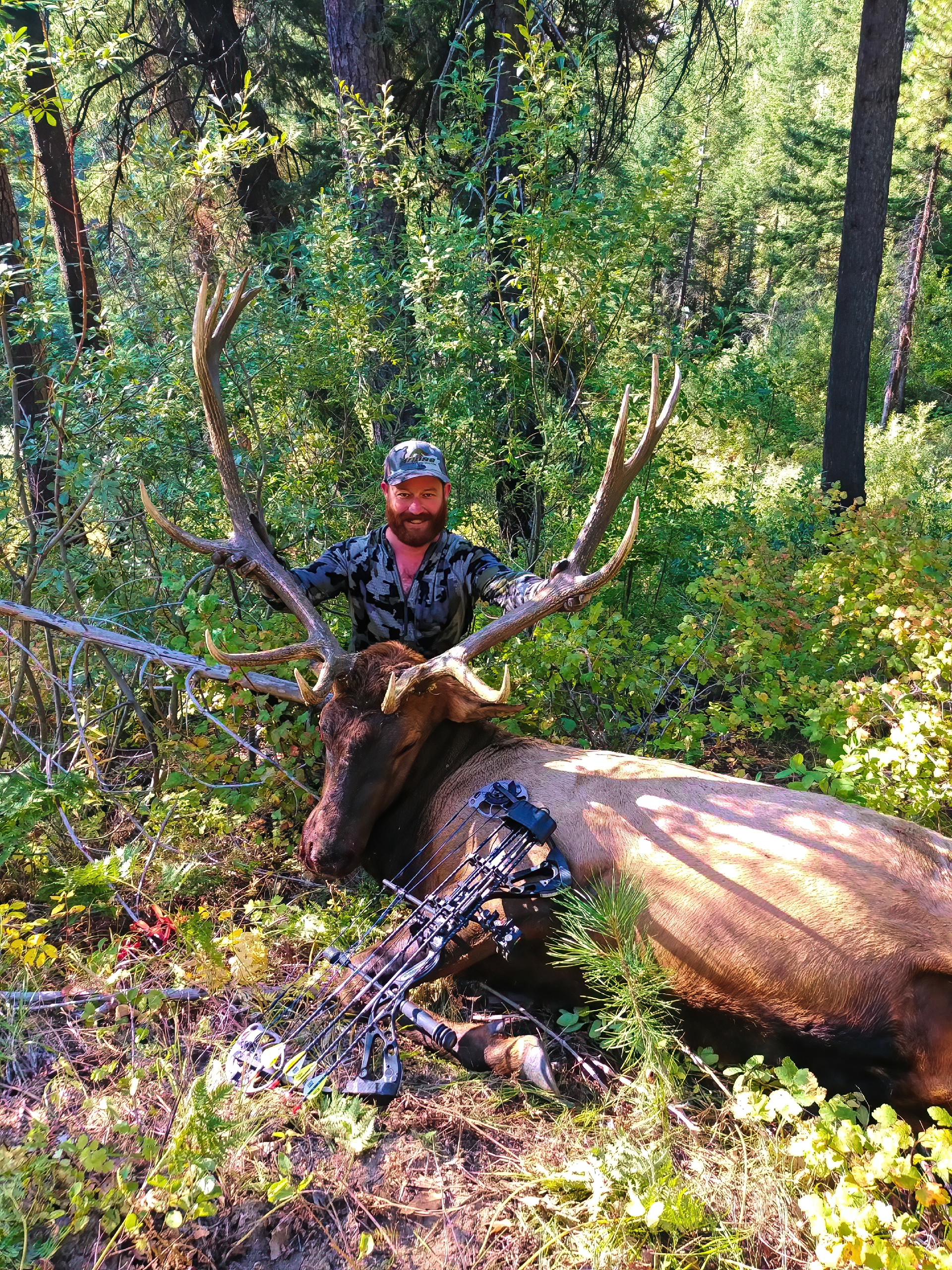 Idaho Archery Elk Hunt - Hunt #5195