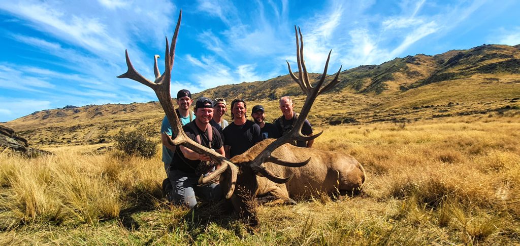 New Zealand Elk Hunt - Hunt #5213 - Quality Hunts