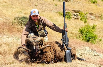 New Zealand Sheep Hunt - Hunt #5209 - Quality Hunts