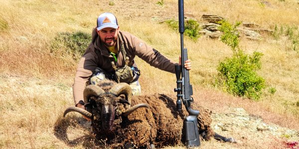 New Zealand Sheep Hunt - Hunt #5209 - Quality Hunts