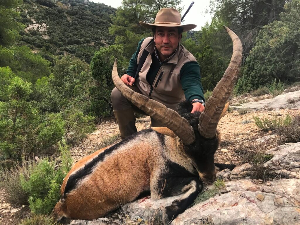 Spanish Ibex Hunt in Spain - Hunt 5479 - Quality Hunts