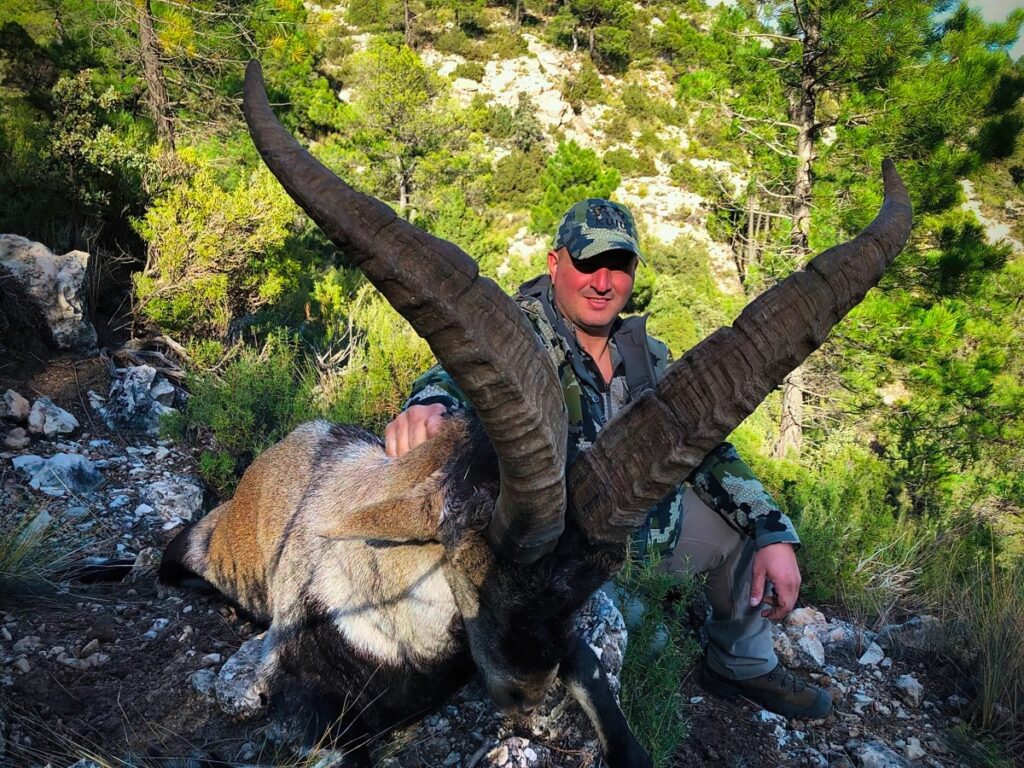 Spanish Ibex Hunt in Spain - Hunt 5479 - Quality Hunts