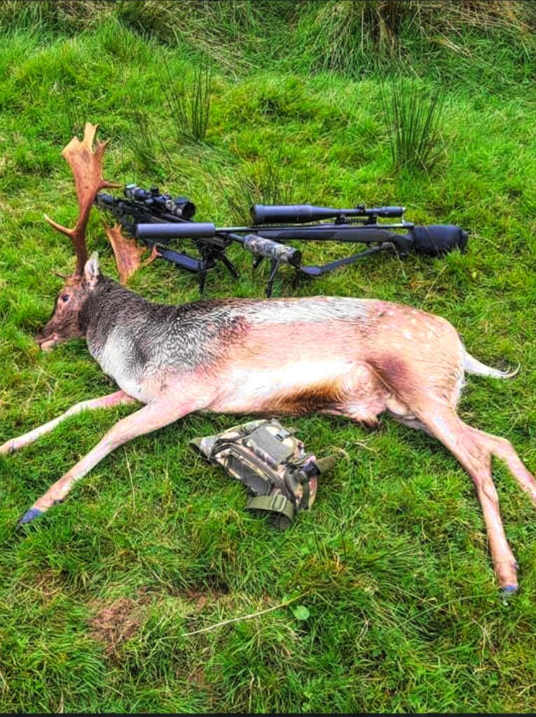 Hunt 5622 - Quality Hunts - Ireland Fallow Deer Hunt