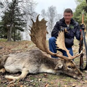 Hunt #5704 - Fallow Deer Hunting in Bulgaria